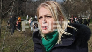 Institucije ćute na nasilje